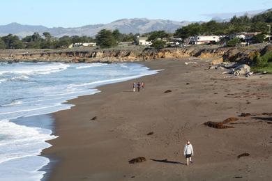 Sandee Harvey Accessway Beach Photo