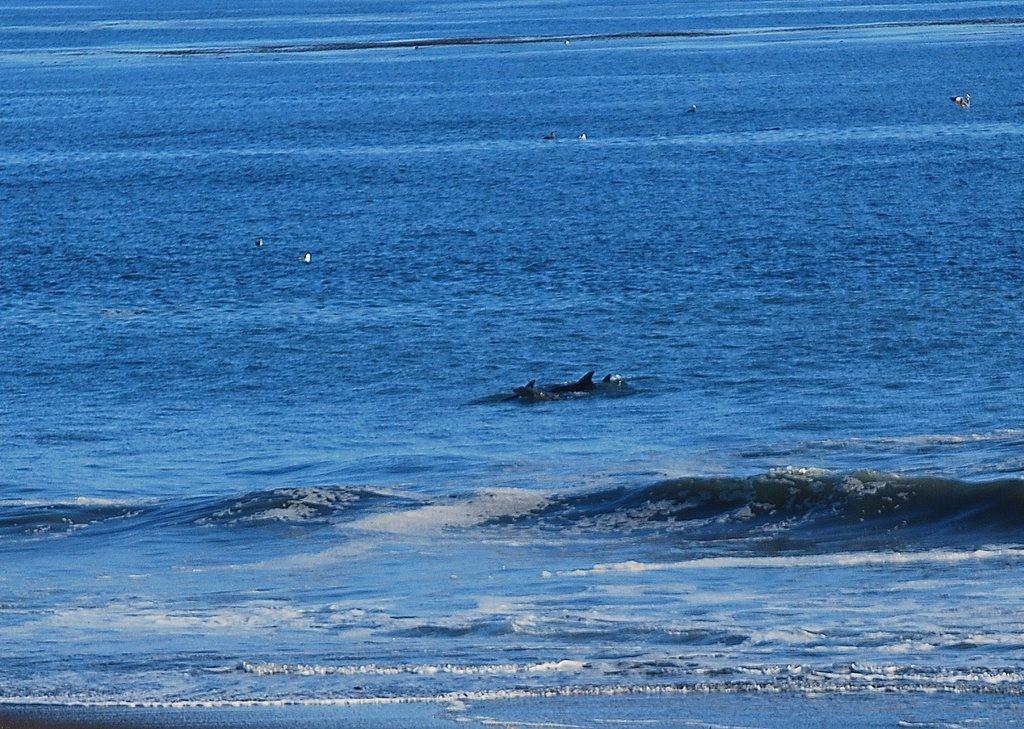 Sandee - Santa Rosa Creek Beach