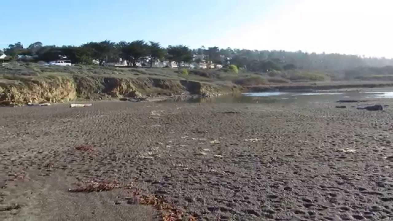 Sandee - Santa Rosa Creek Beach