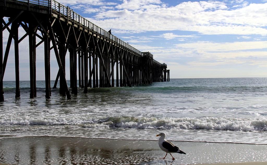 Sandee San Simeon Creek Beach Photo