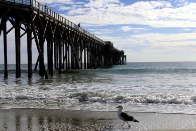 Sandee San Simeon Creek Beach