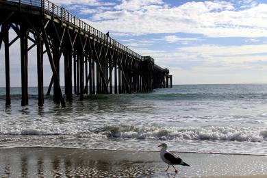 Sandee San Simeon Creek Beach Photo