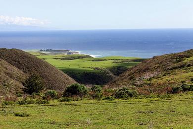 Sandee Coast Dairies State Park - Davenport Landing Beach Photo