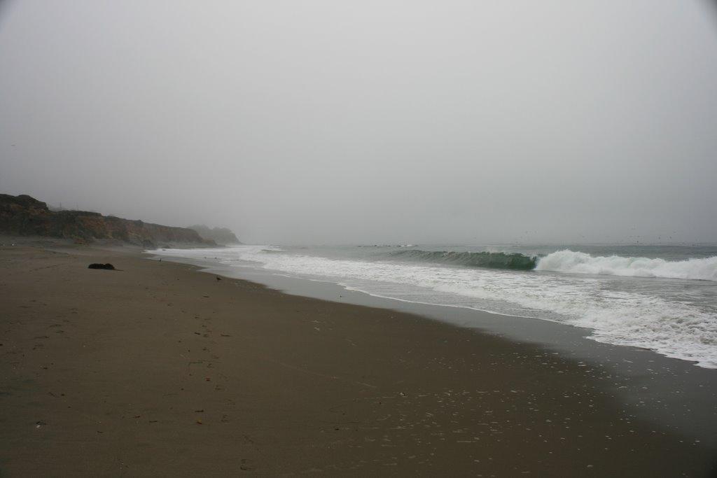 Sandee - San Simeon Creek Beach