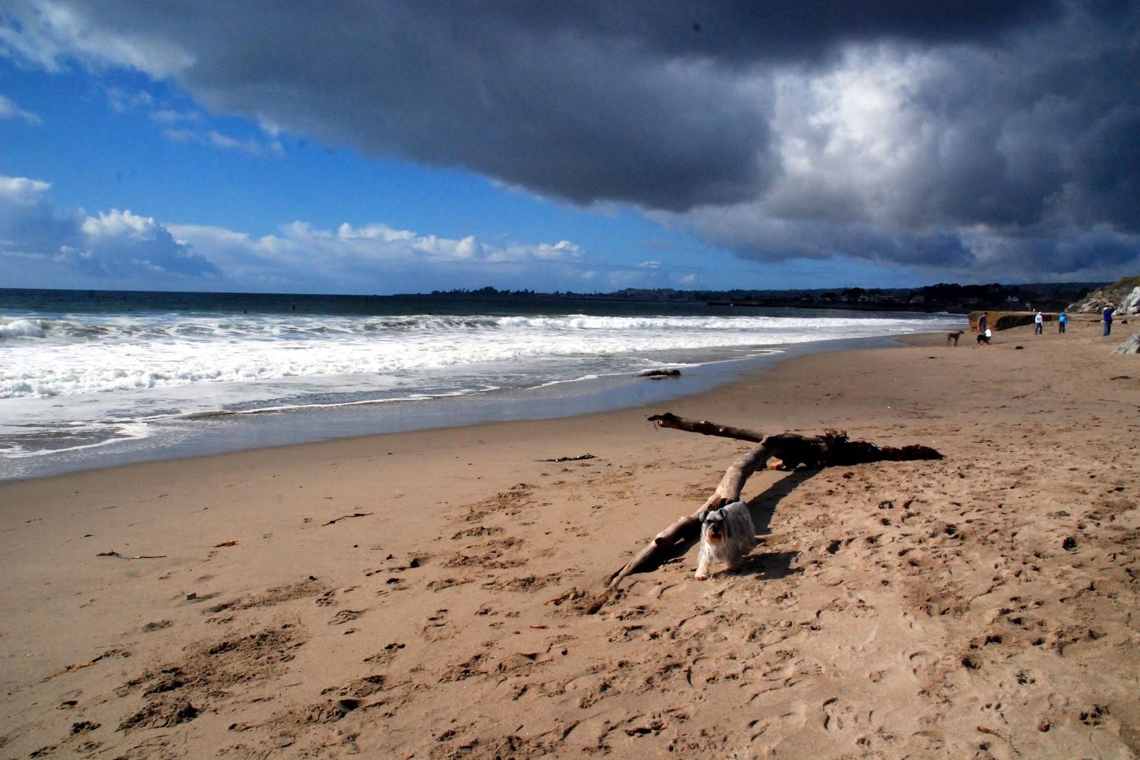 Sandee - 26th Avenue Beach