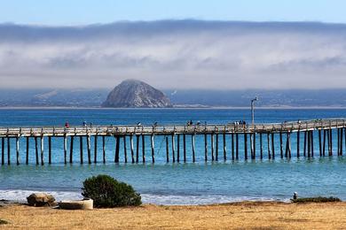 Sandee - Cayucos State Beach