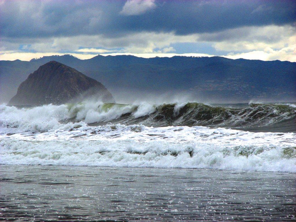 Sandee - Cayucos State Beach