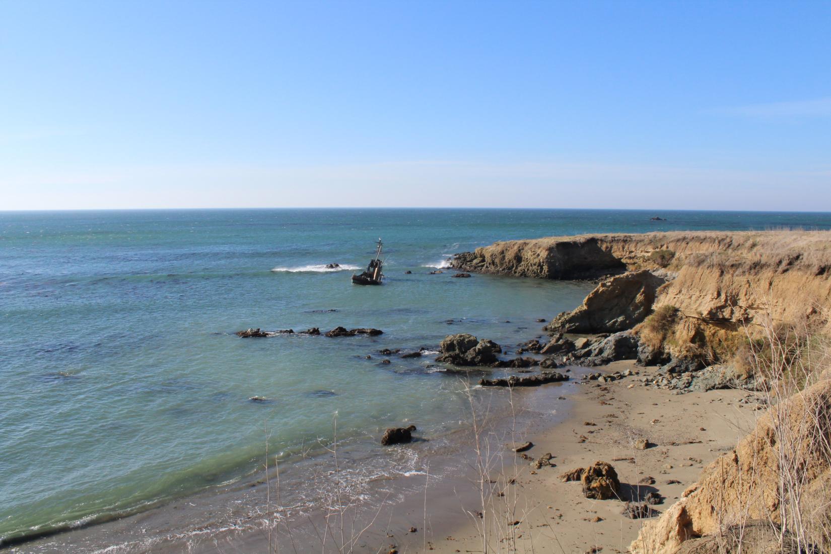 Sandee - Cayucos State Beach