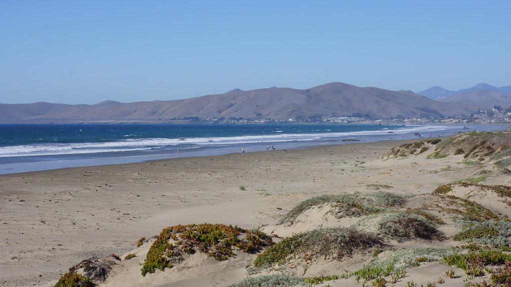 Sandee Cayucos State Beach
