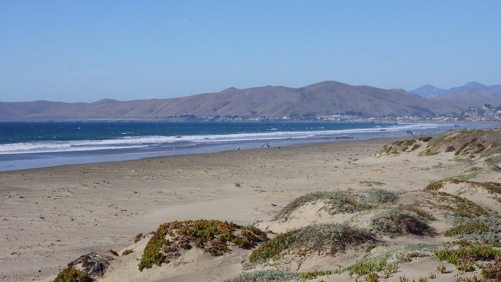 Sandee - Cayucos State Beach