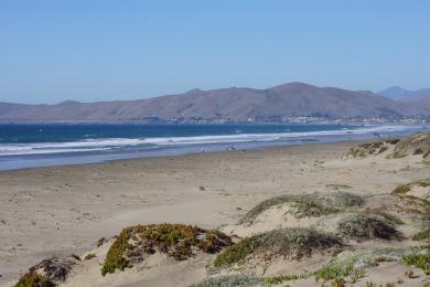 Sandee Cayucos State Beach Photo