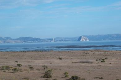 Sandee Toro Creek Beach Photo