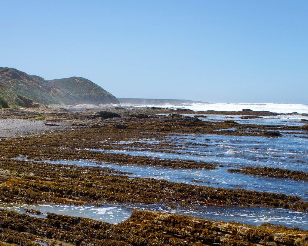 Sandee - Montana De Oro State Park - Hazard Canyon Reef