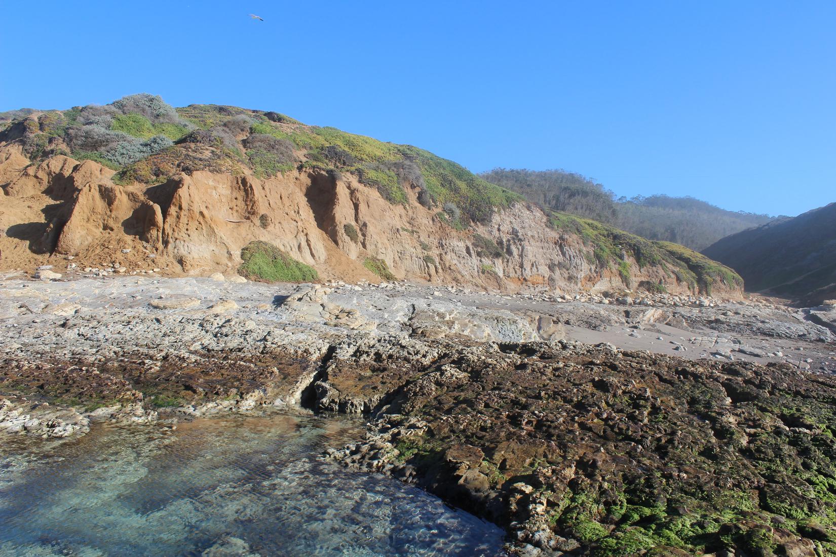 Sandee - Montana De Oro State Park - Hazard Canyon Reef