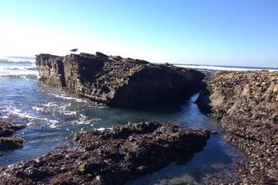 Sandee Montana De Oro State Park - Hazard Canyon Reef