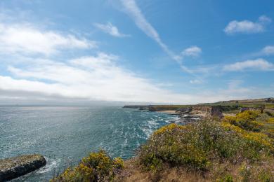 Sandee - Wilder Ranch State Beach - Wilder Beach