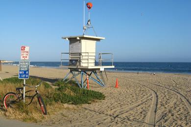 Sandee - Santa Cruz Harbor Beach