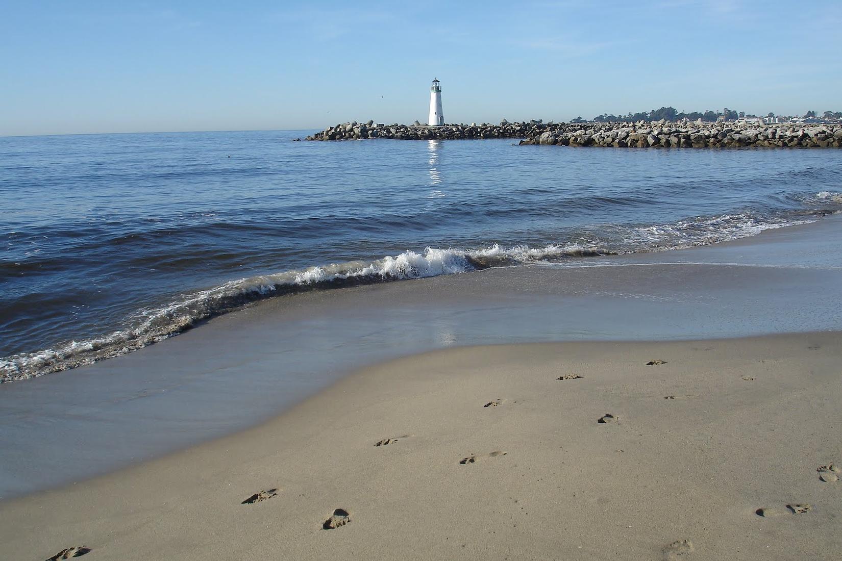 Sandee - Santa Cruz Harbor Beach