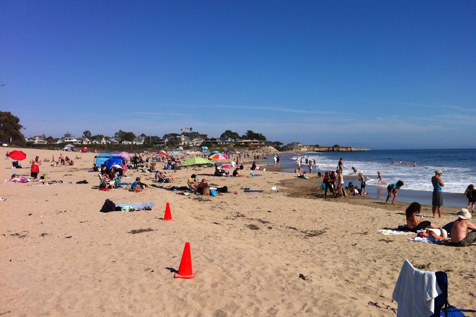 Sandee - Santa Cruz Harbor Beach