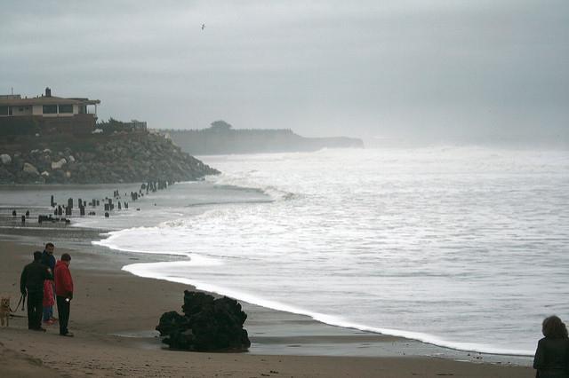 Sandee - Santa Cruz Harbor Beach