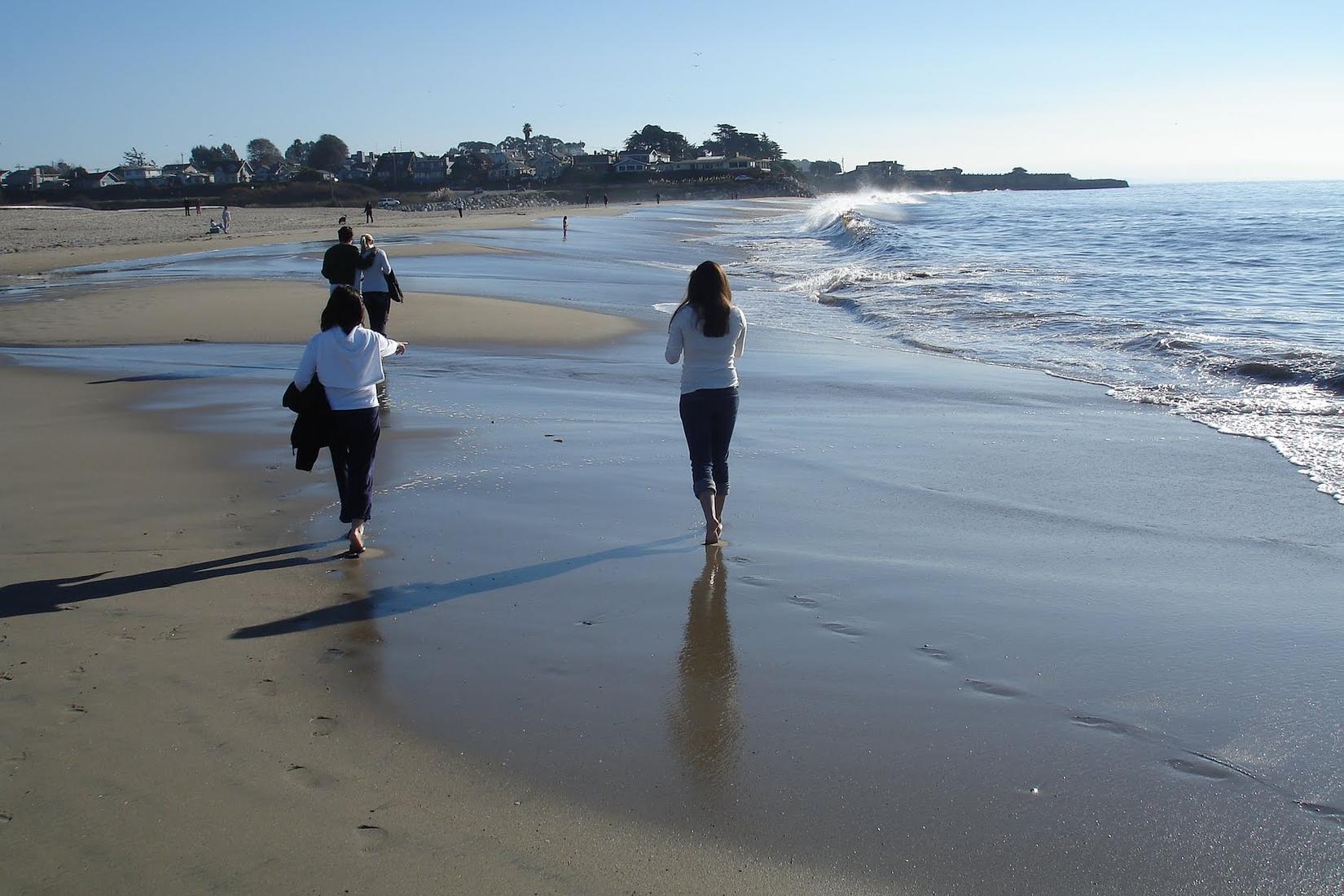 Sandee - Santa Cruz Harbor Beach