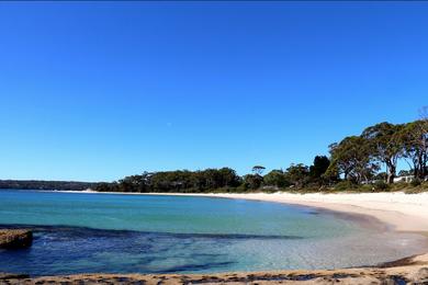 Sandee Shark Net Beach Photo