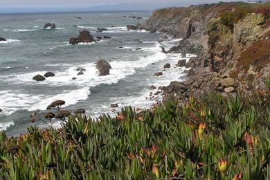 Sandee - Carmet Beach