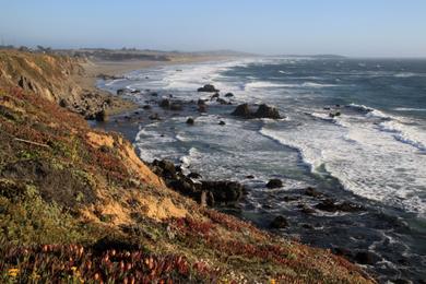 Sandee Coleman Beach Photo