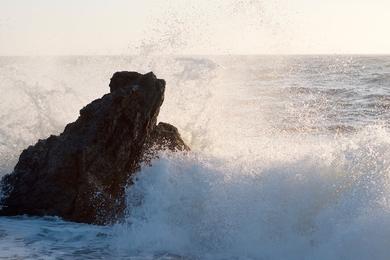 Sandee - Coleman Beach