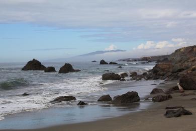 Sandee Miwok Beach Photo