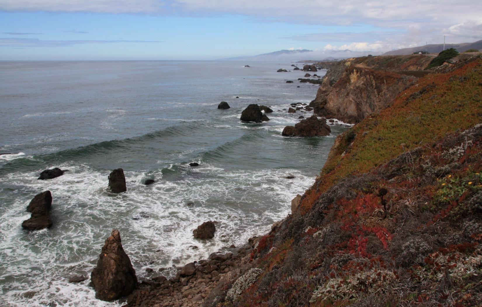 Sandee - Coleman Beach