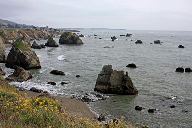 Sandee - Miwok Beach