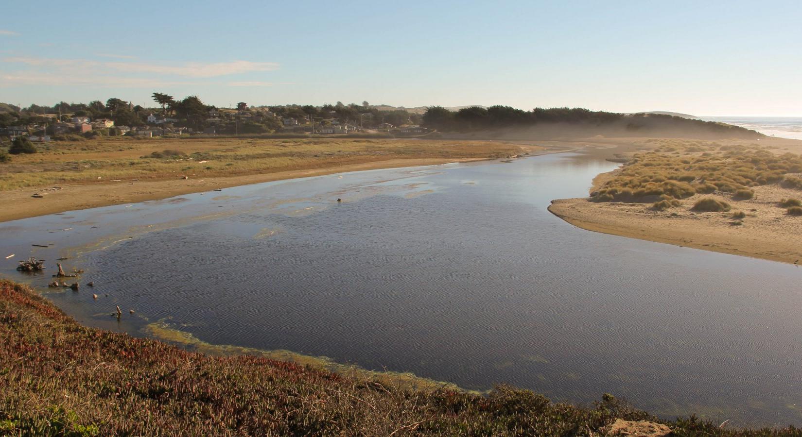 Sandee - North Salmon Creek Beach