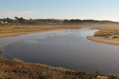 Sandee - North Salmon Creek Beach