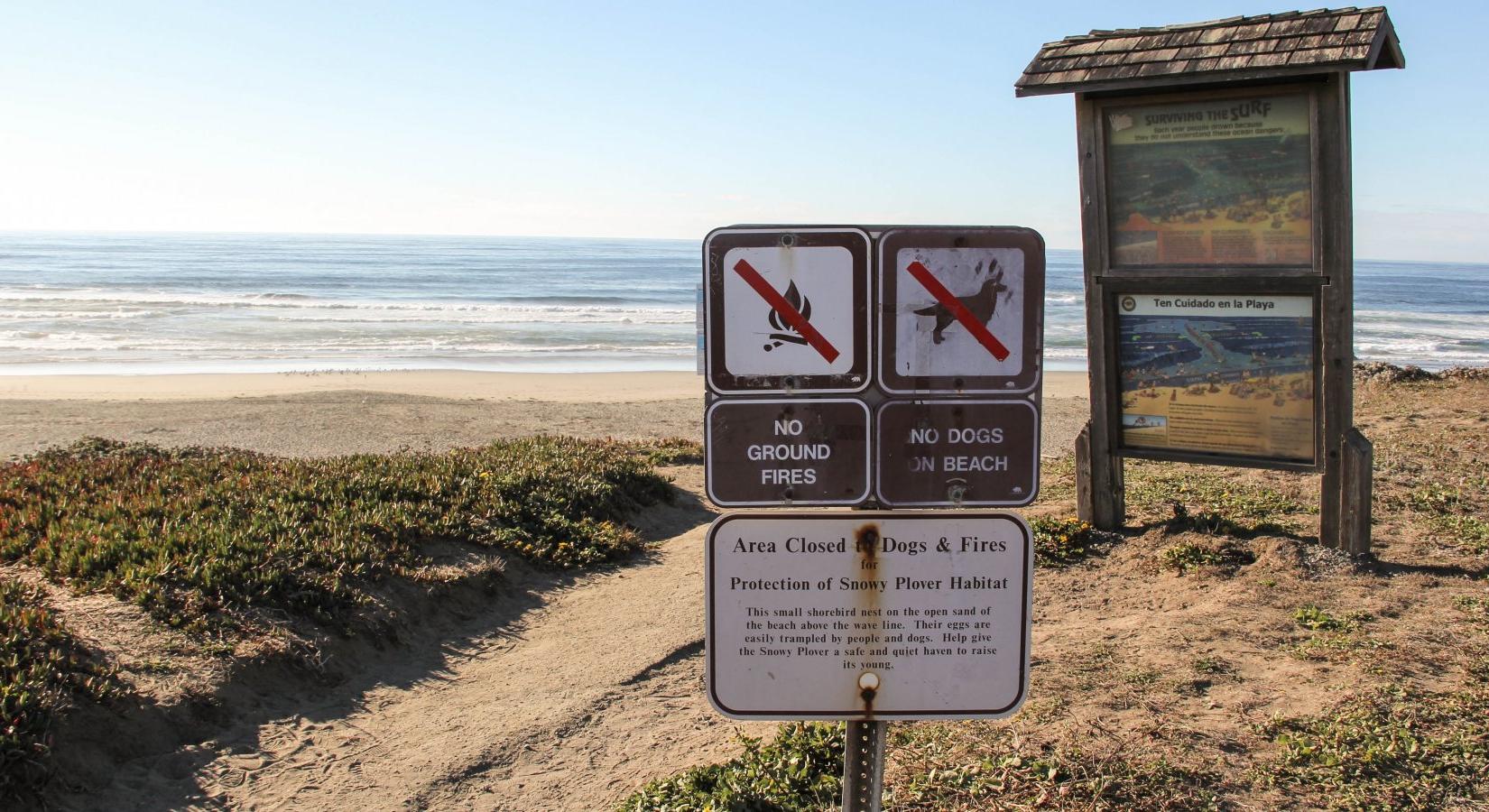 Sandee - North Salmon Creek Beach