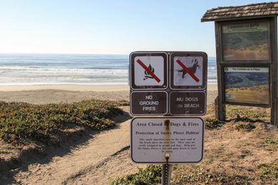 Sandee - North Salmon Creek Beach