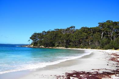 Sandee - Blenheim Beach