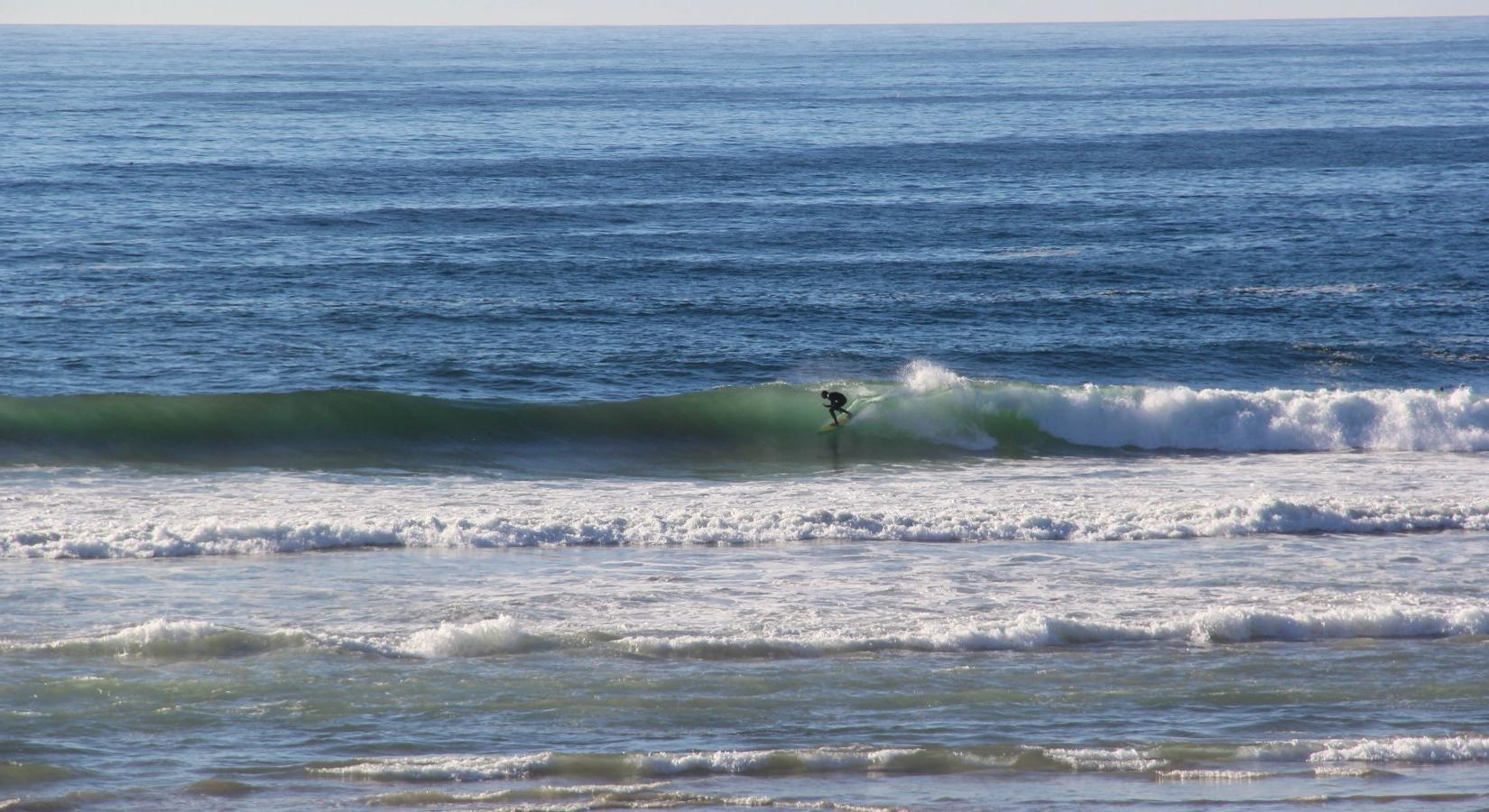 Sandee - North Salmon Creek Beach