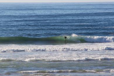 Sandee - North Salmon Creek Beach