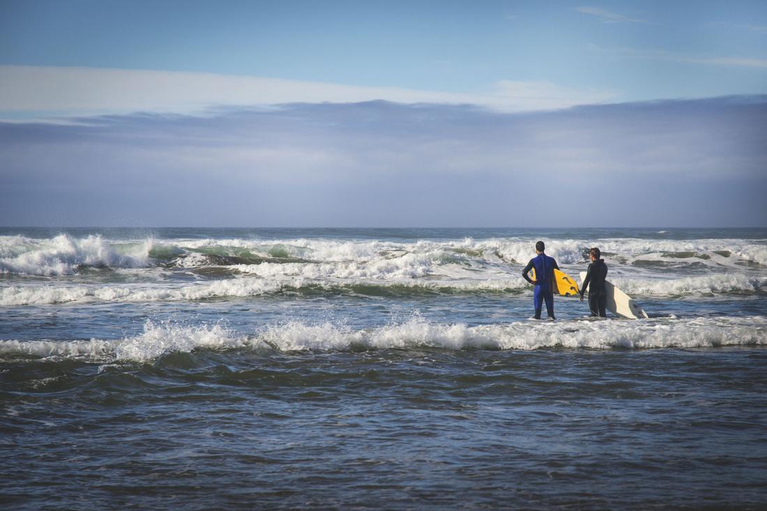 Sandee - North Salmon Creek Beach