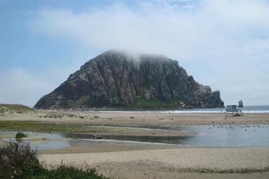 Sandee - Morro Dunes Natural Preserve