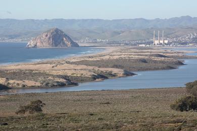 Sandee Morro Dunes Natural Preserve