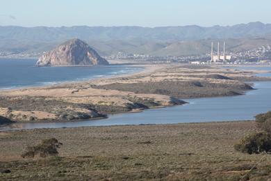 Sandee Morro Dunes Natural Preserve Photo