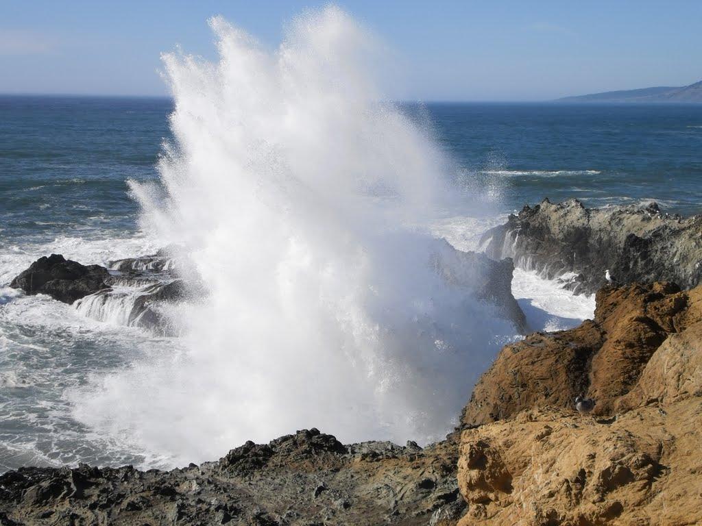 Sandee - Gleason Beach