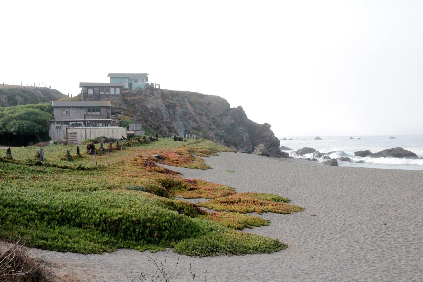 Sandee - Scotty Creek Beach