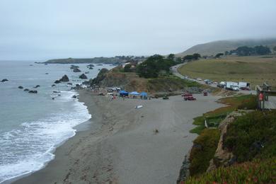 Sandee - Scotty Creek Beach