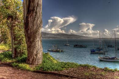 Sandee Bayshore Bluffs Park