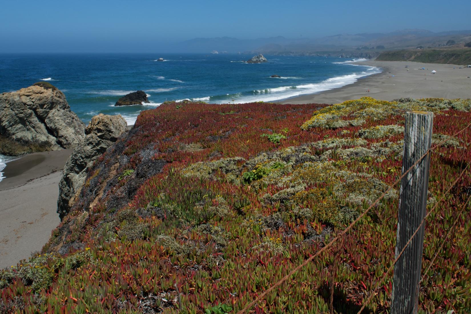 Sandee - Duncans Landing Beach