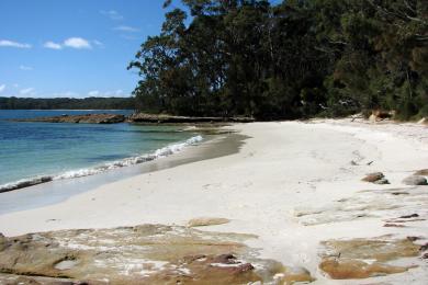 Sandee Green Patch Campground Photo