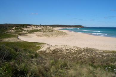 Sandee - Manyana Beach